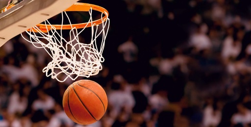 Basketball Adult