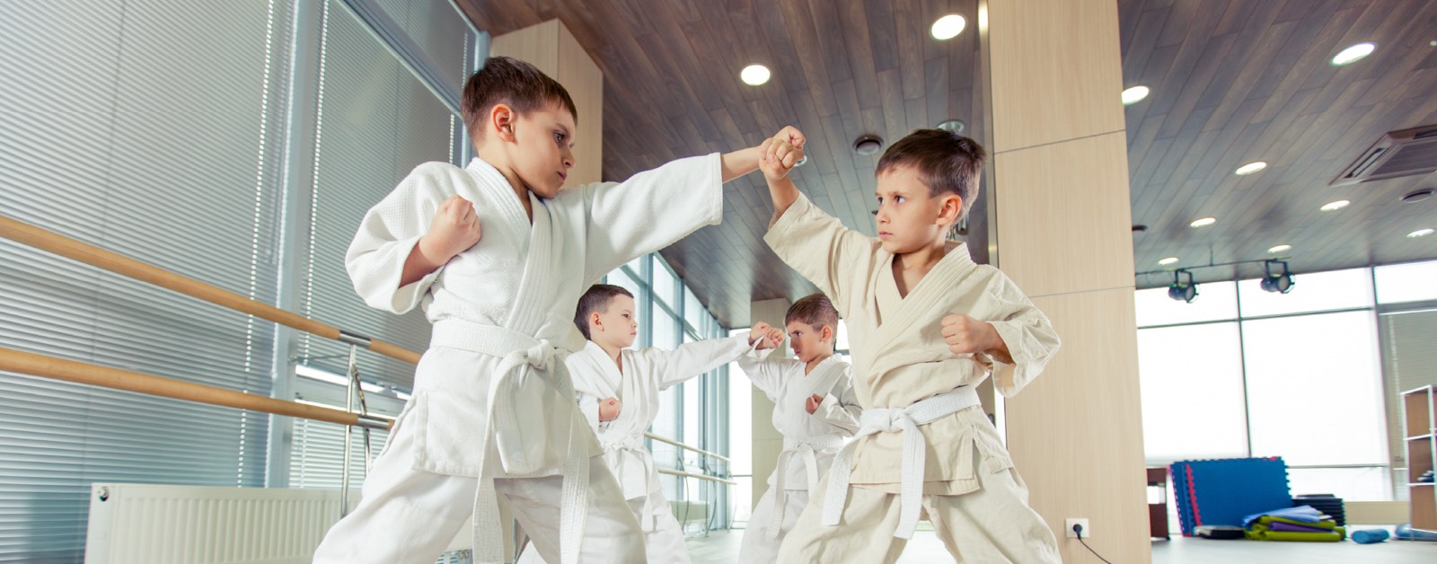 Martial Arts